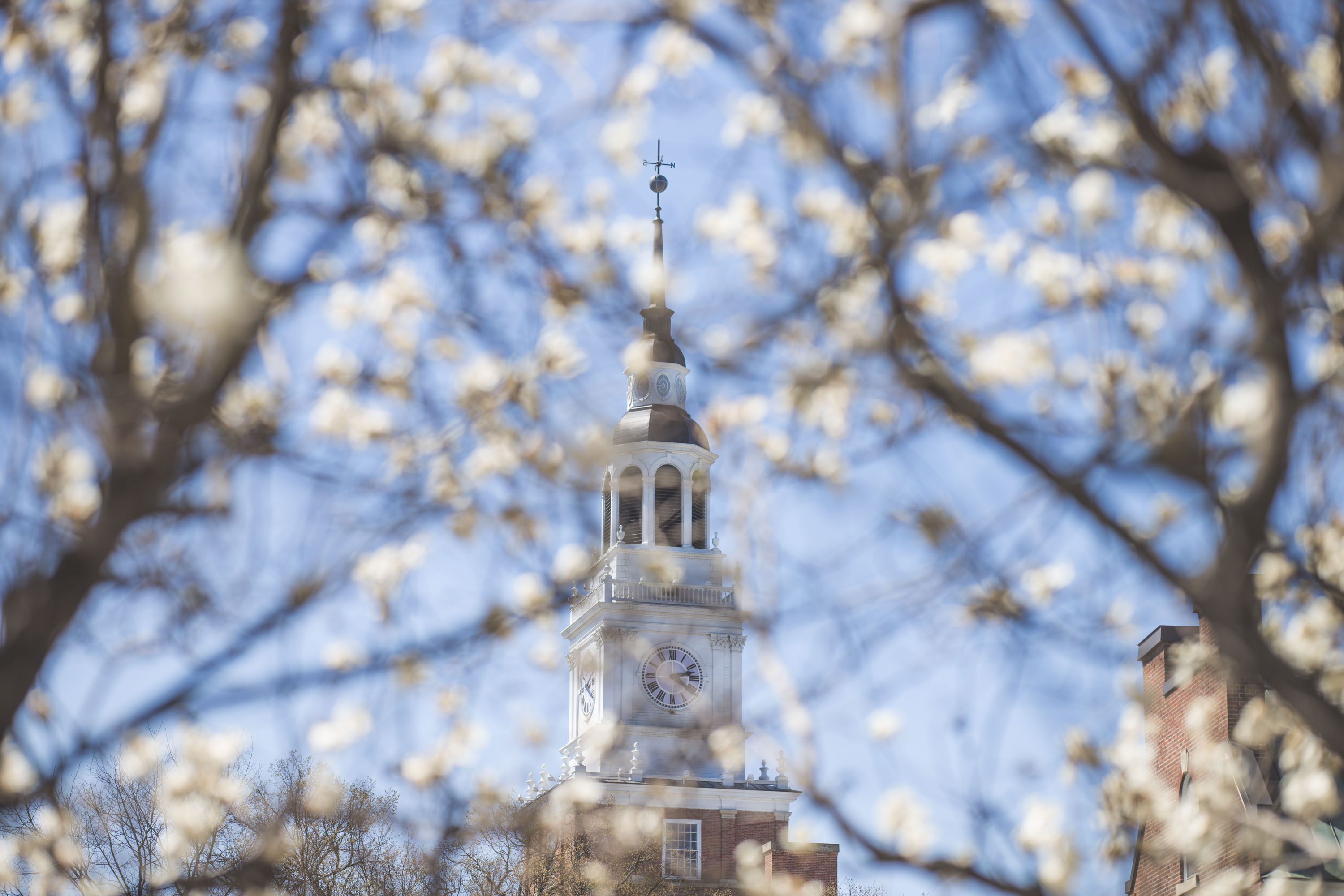 Baker tower behind magnolias