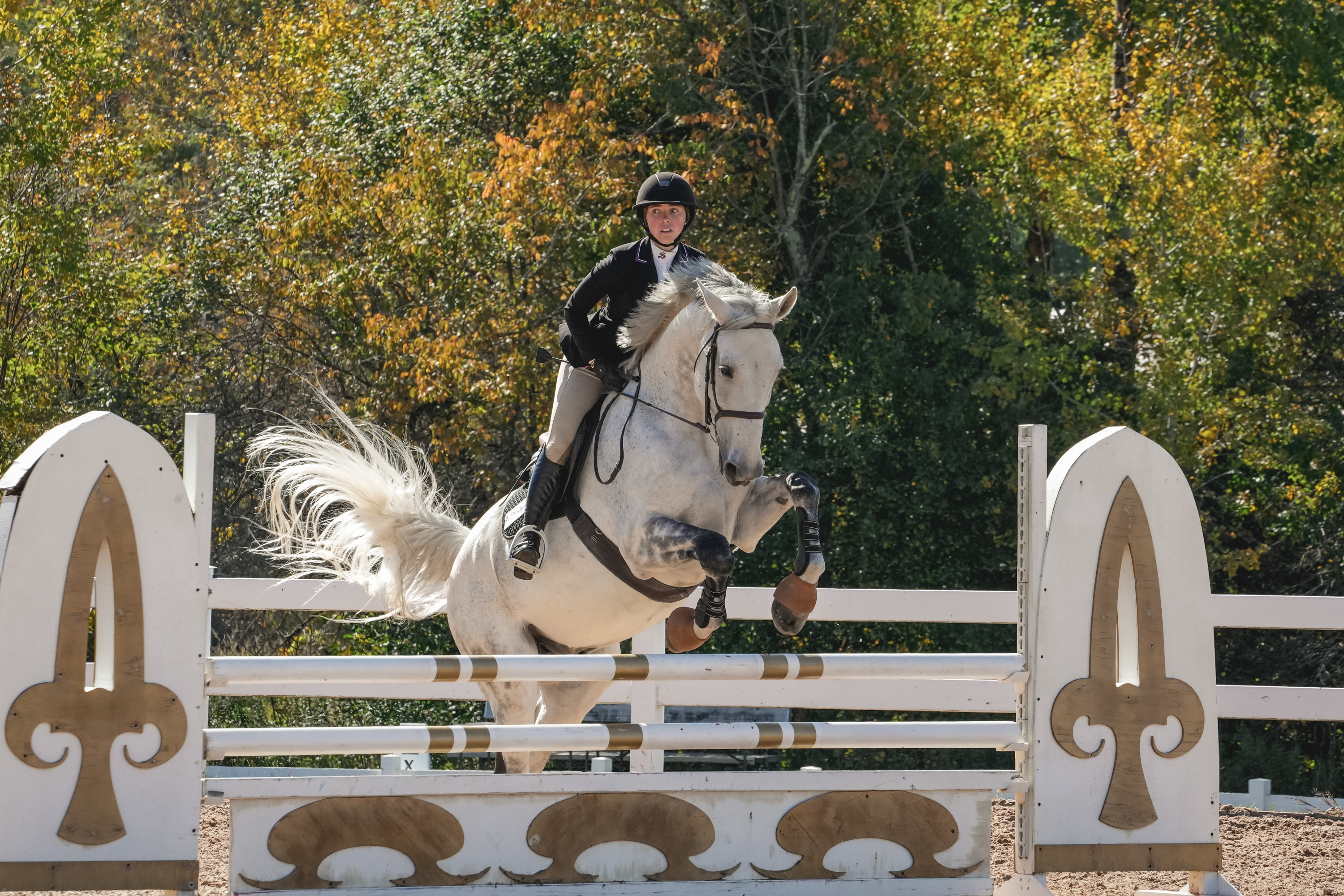 Equestrian member doing hurdles