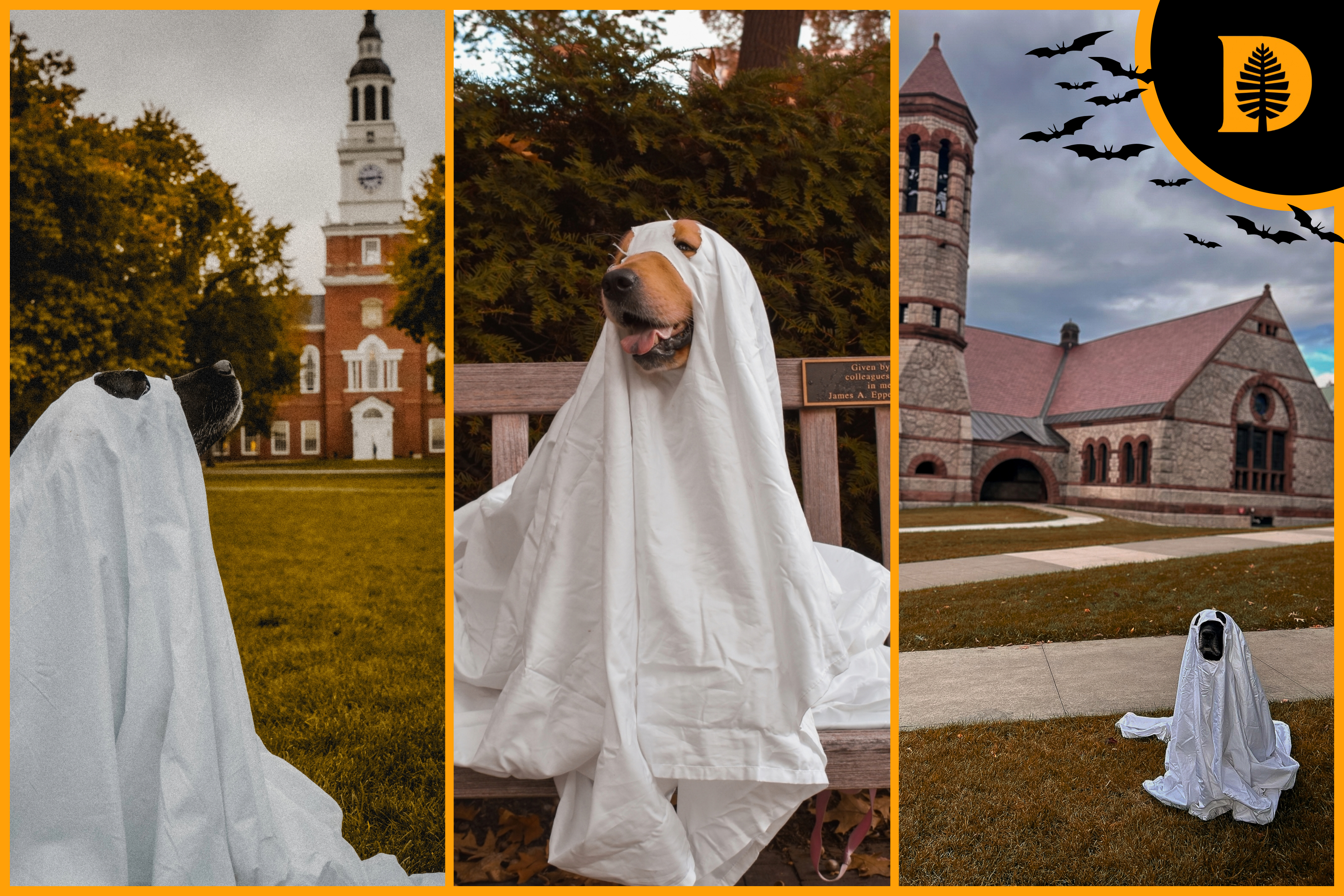 Dogs dressed as ghosts