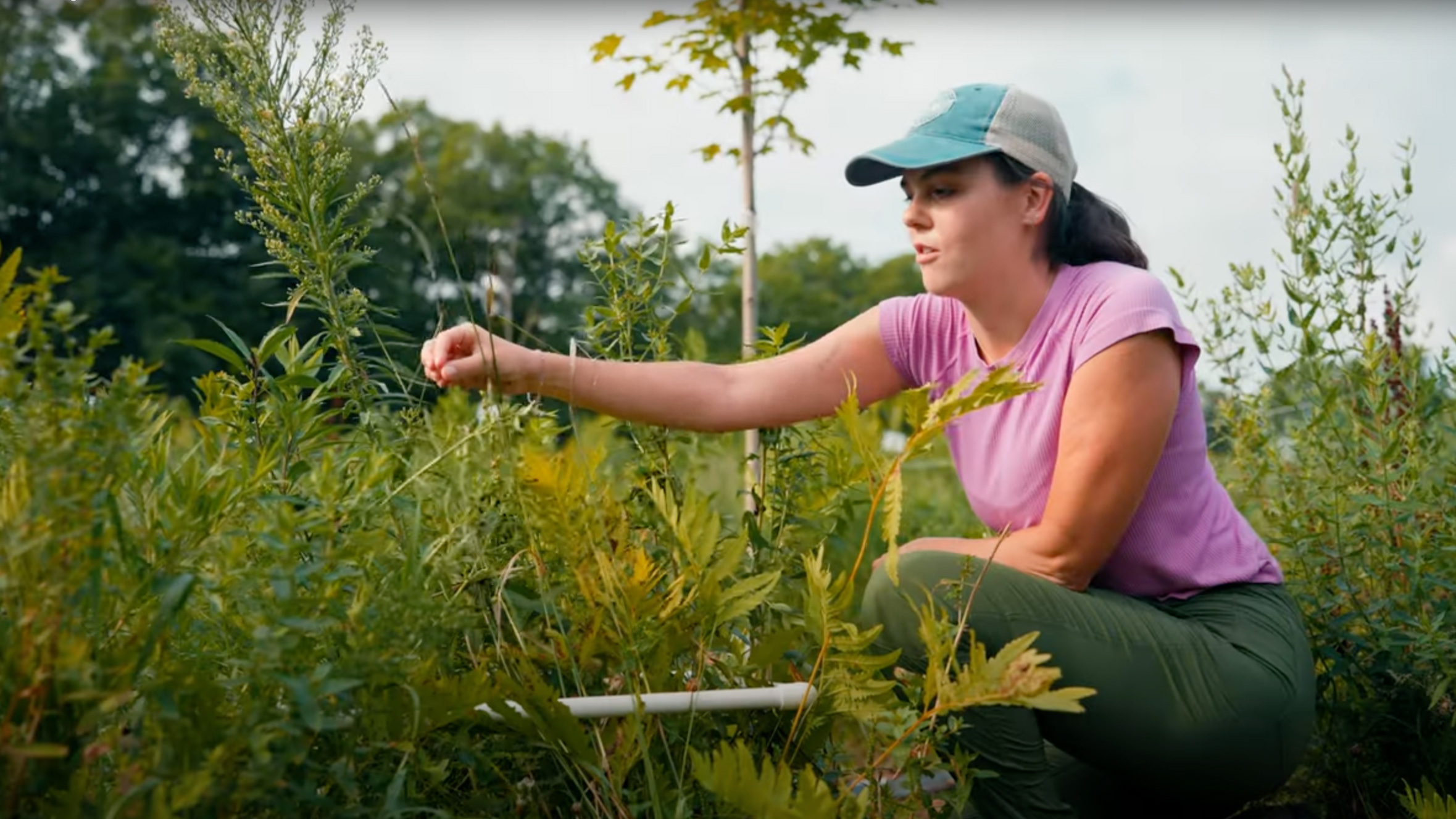 Meredith Thomas working at O-Farm