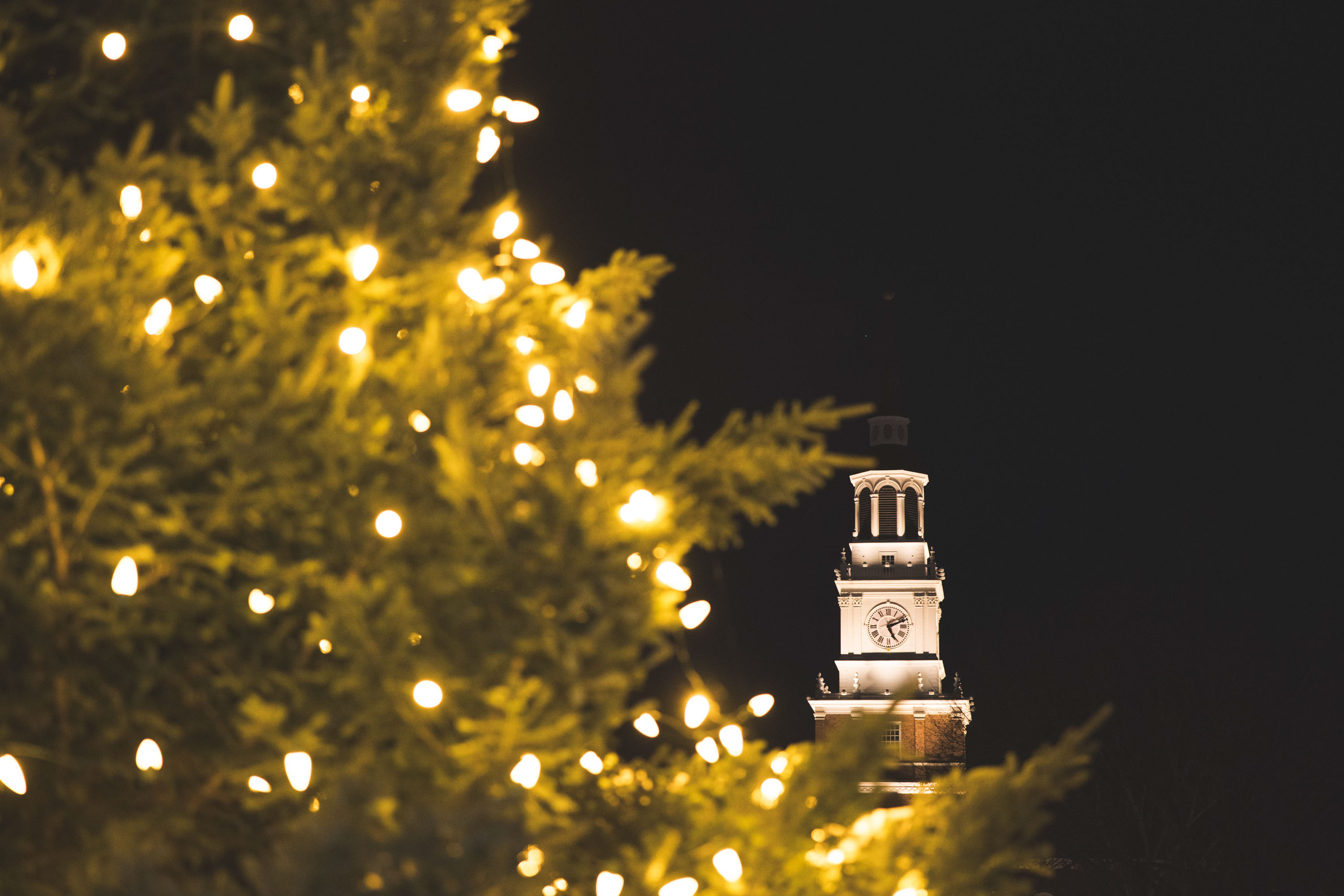 Christmas tree branches frame Baker Tower at night