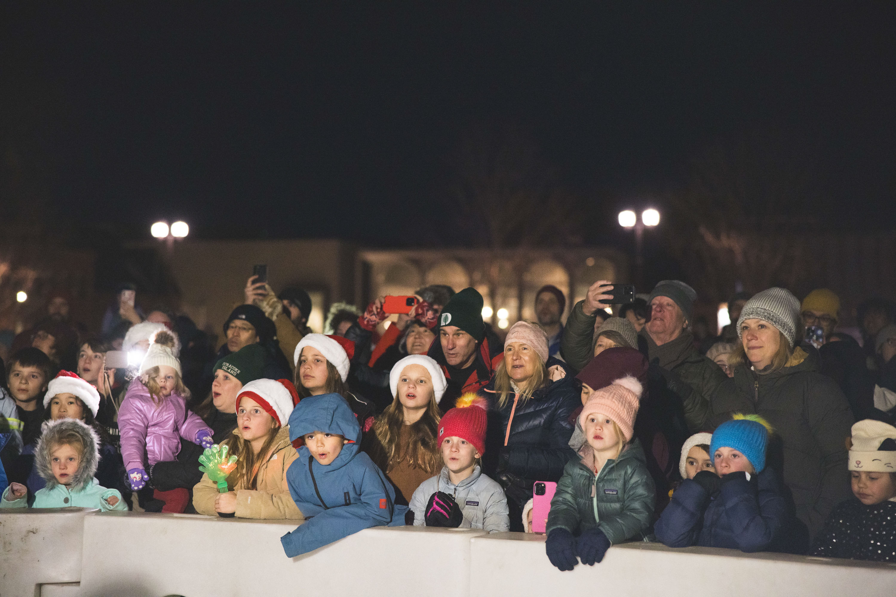 Children and their families watch the Christmas tree lighting