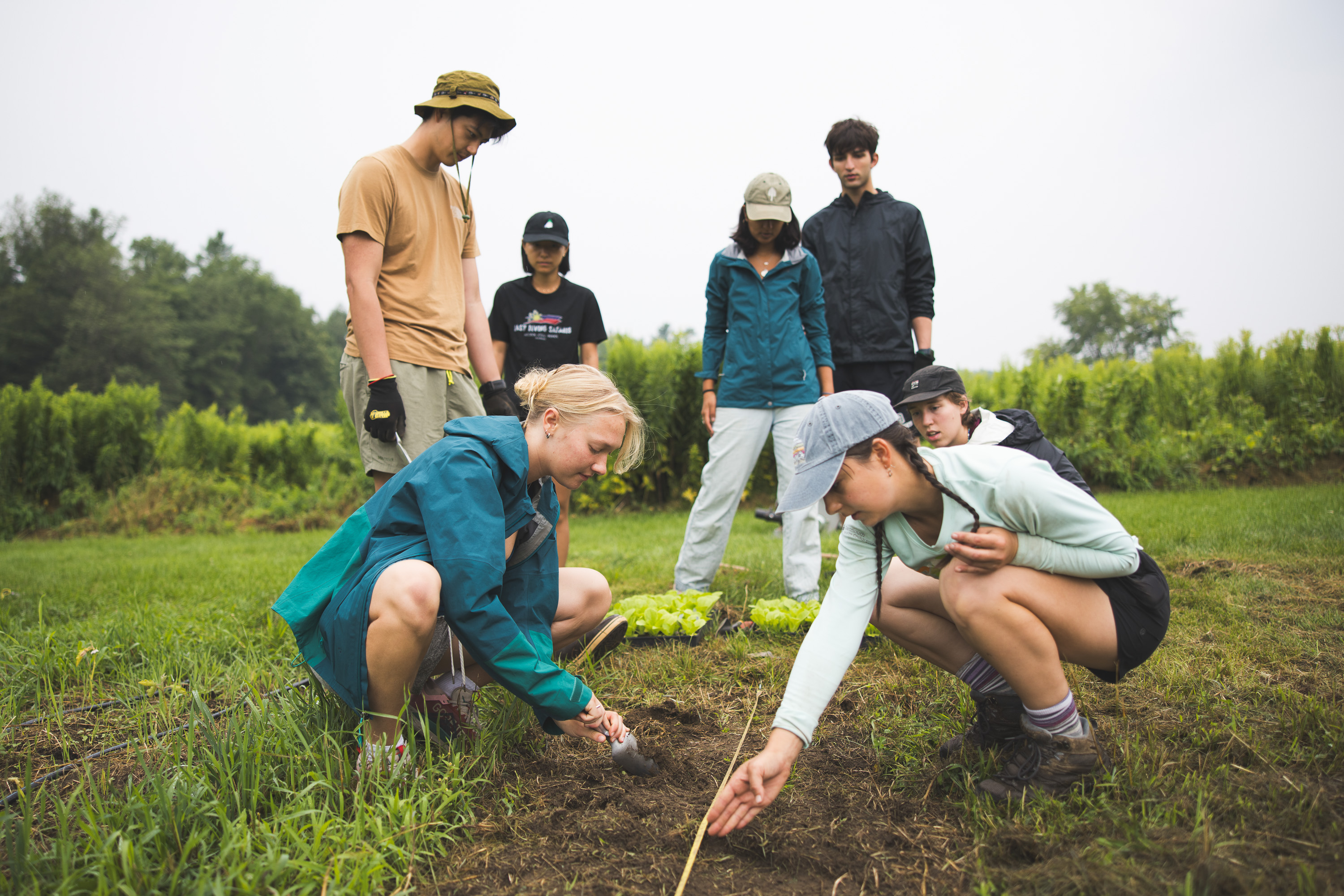 Students gardening at O-Farm