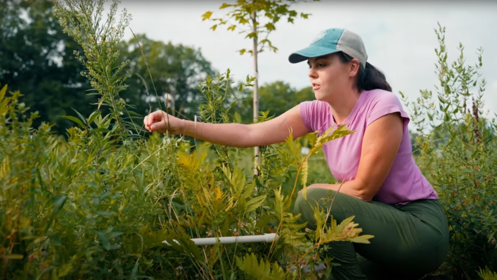 Meredith Thomas working at O-Farm