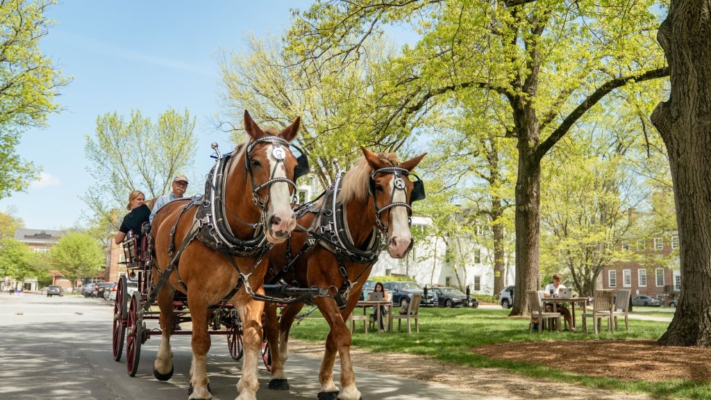 Two draft horses pulling a carriage of people